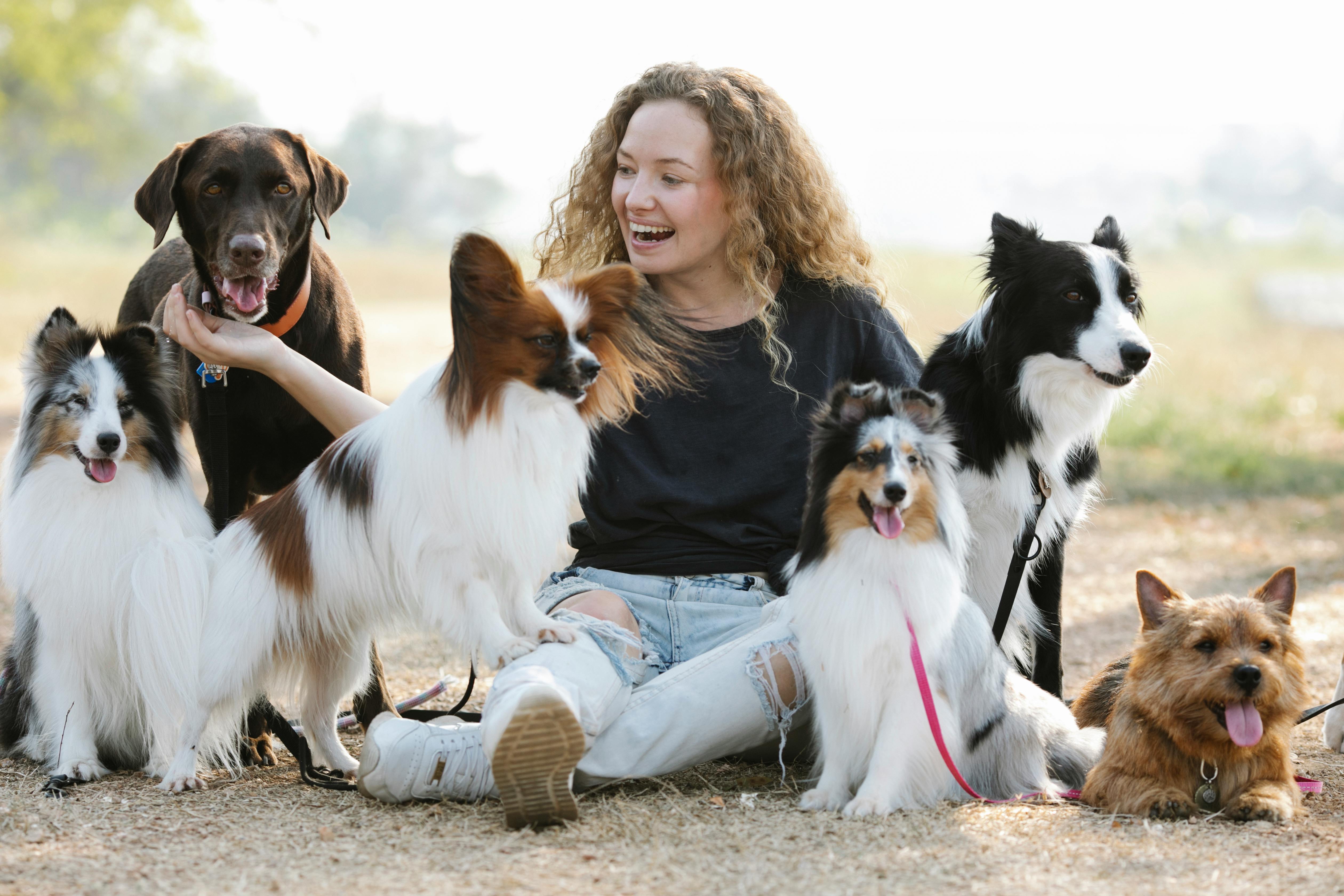Understanding your dog’s everyday needs