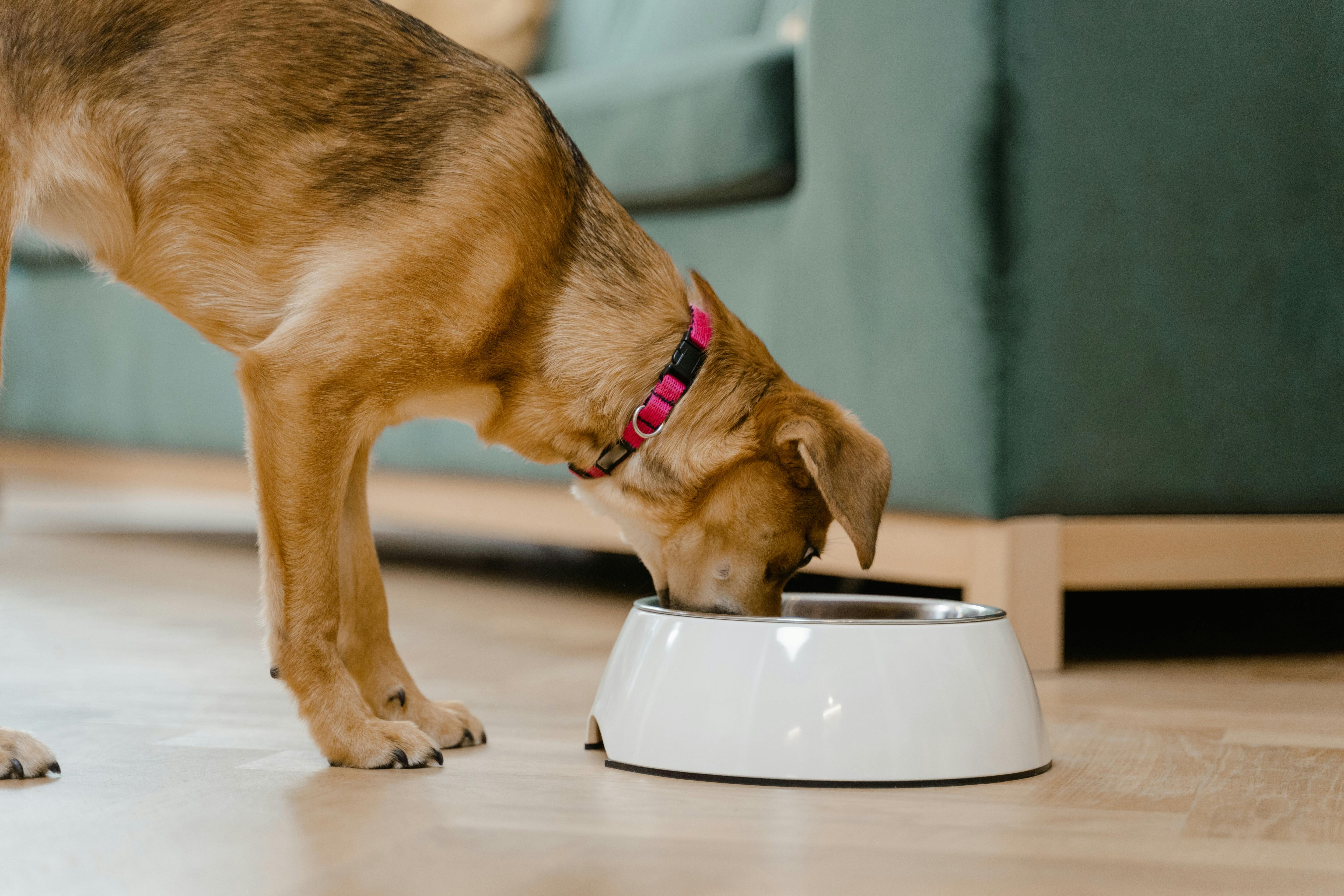 Why personalized nutrition makes a difference