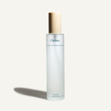 Skin Perfecting Mist